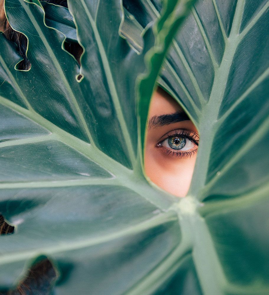 Piękno jest wszędzie mile widzianym gościem